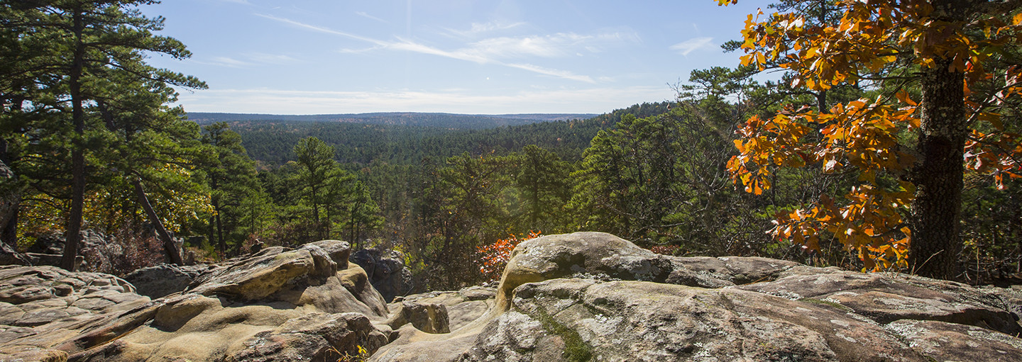 Robbers Cave 1440x511 - Carter & Higgins Orthodontics Blog