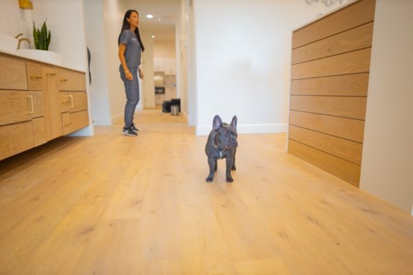 Carter Higgins 2019 Doctor Candids 29 600x400 - Jerry Is the Real MVP (Most Valuable Pup)