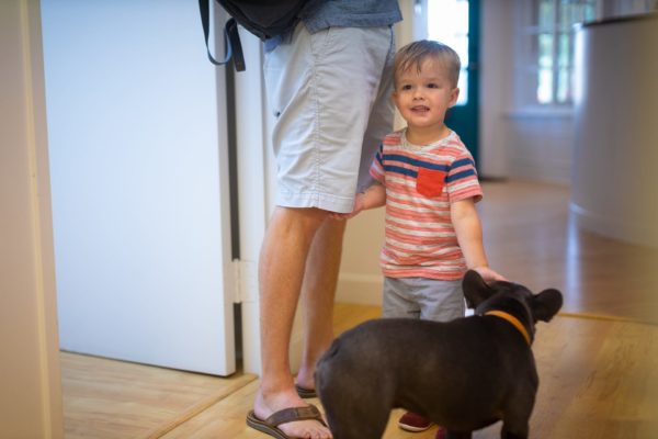 Carter Higgins 2019 Patient Candids 101 600x400 - Jerry Is the Real MVP (Most Valuable Pup)