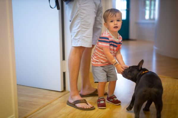 Carter Higgins 2019 Patient Candids 102 600x400 - Jerry Is the Real MVP (Most Valuable Pup)