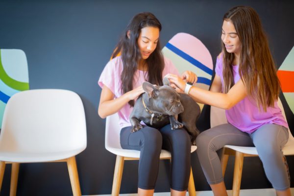 Carter Higgins 2019 Patient Candids 2 600x400 - Jerry Is the Real MVP (Most Valuable Pup)