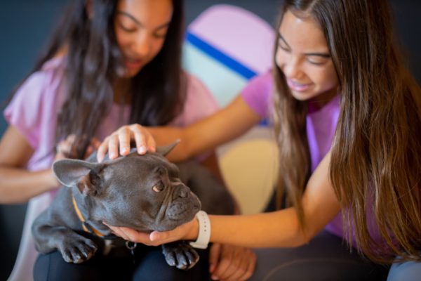 Carter Higgins 2019 Patient Candids 6 600x400 - Jerry Is the Real MVP (Most Valuable Pup)