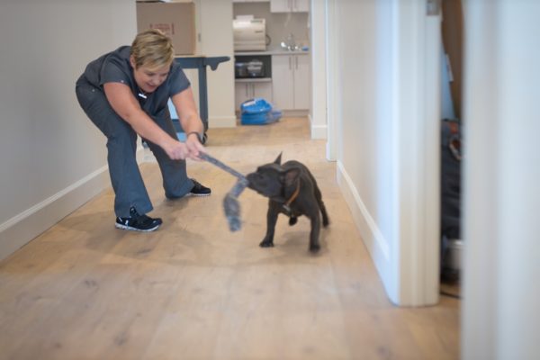 Carter Higgins 2019 Staff Candids 17 600x400 - Jerry Is the Real MVP (Most Valuable Pup)