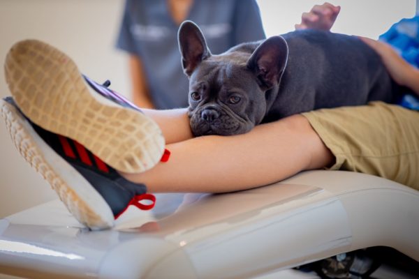 Carter Higgins 2019 Staff Candids 21 600x400 - Jerry Is the Real MVP (Most Valuable Pup)
