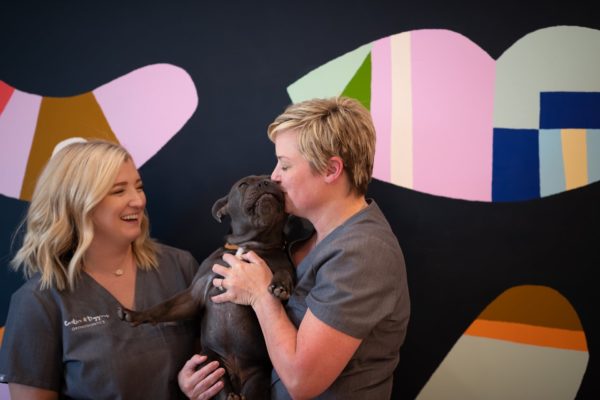 Carter Higgins 2019 Staff Candids 77 600x400 - Jerry Is the Real MVP (Most Valuable Pup)