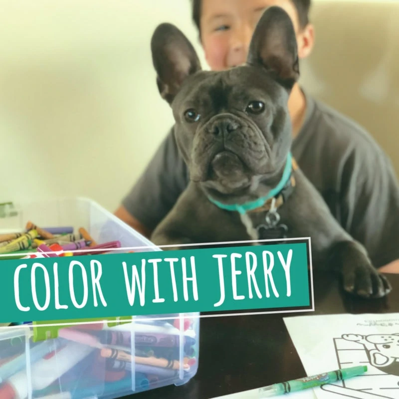 colorwithjerry pic 800x800 - Color With Jerry!