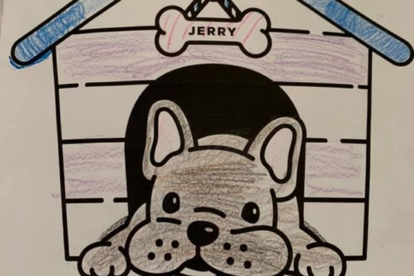 90255533 10100824180936855 2811188680872427520 n 600x400 - Color With Jerry!