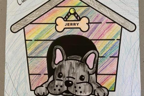 90688352 945452584205 1394964330738352128 n 600x400 - Color With Jerry!