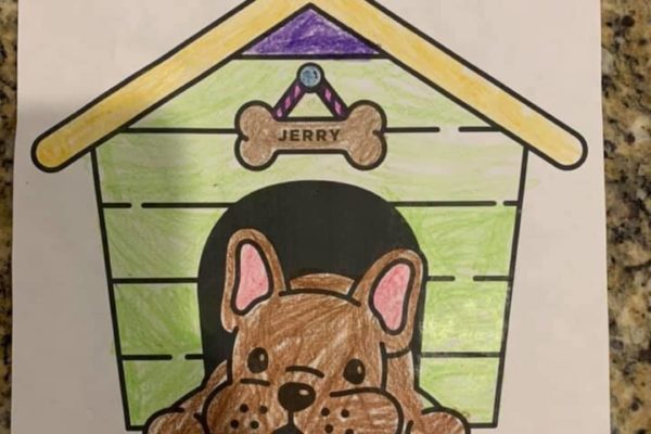 91258353 10218941518107385 3165998824002945024 n 600x400 - Color With Jerry!