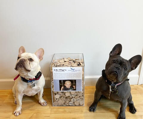Tokens dogs 480x400 - Your Donations Help Us Support Fight Against Child Cancers